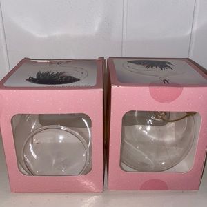 Set of 2 Hanging Glass Terrarium.